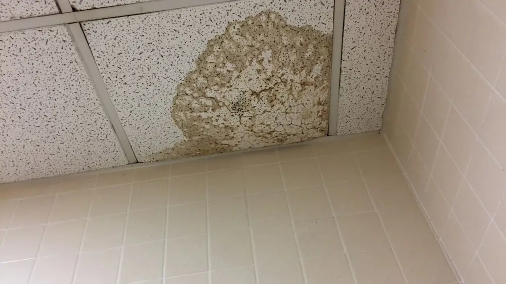 Water stain on a ceiling tile above a tiled floor