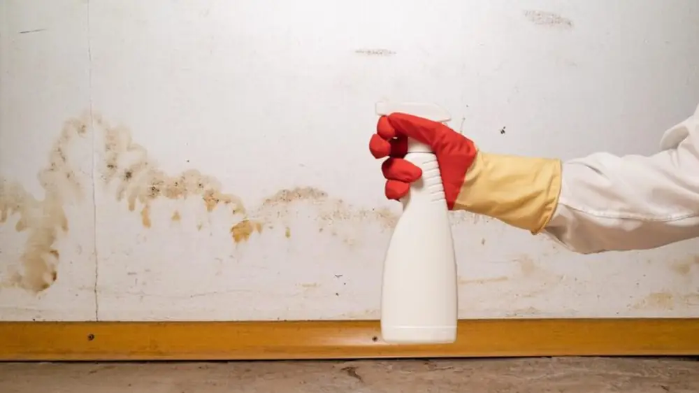 Gloved hand spraying a stained wall above a wood baseboard