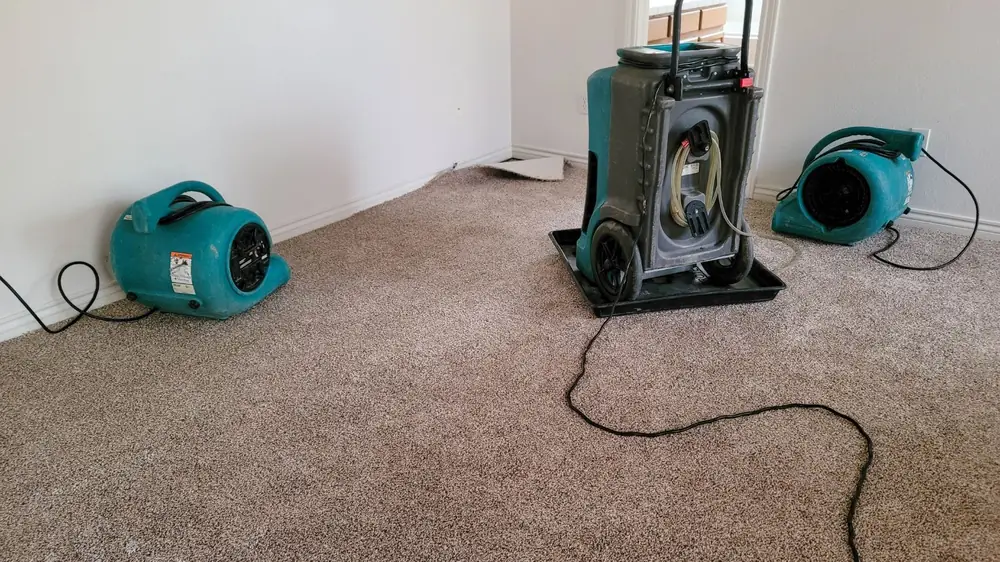 Dehumidifier and air movers drying a carpeted room